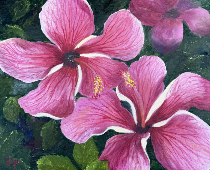 Heavenly Hibiscus