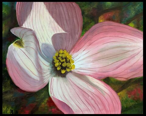 Dog wood Delight