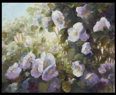 Mock Orange