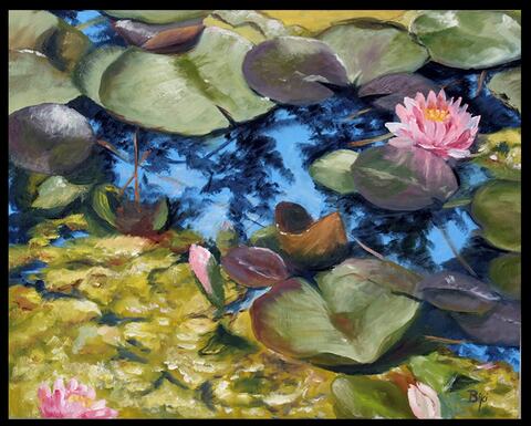 Reflections Among the Water Lillies