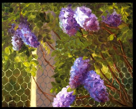 Wisteria