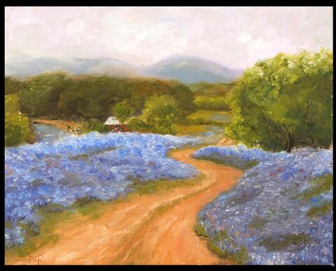 Hill Country Bluebonnets