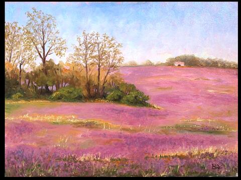 Lavender Spring