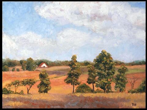 Shadows on the Fields