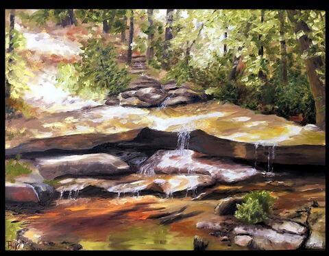 Shawnee Forest Light