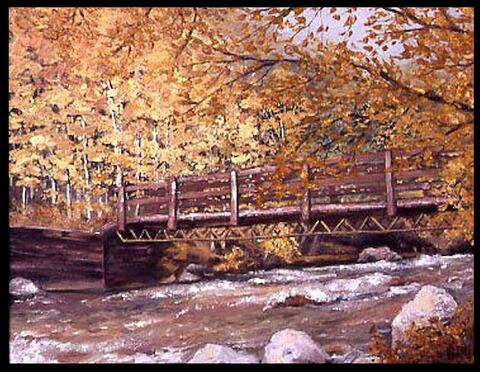 Wooden Bridge at Guanella